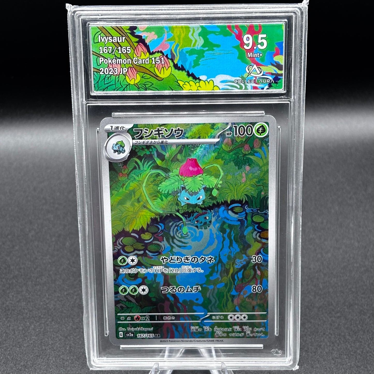 Carte Ivysaur 167/165