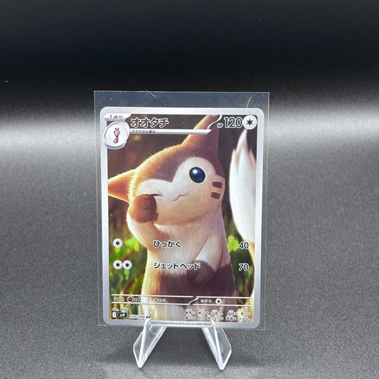Carte Furret 110/100